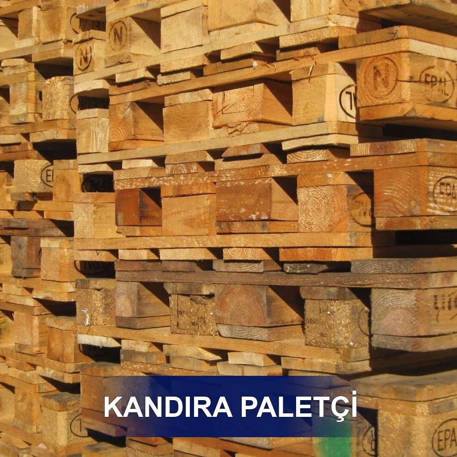 Kandıra Paletçi