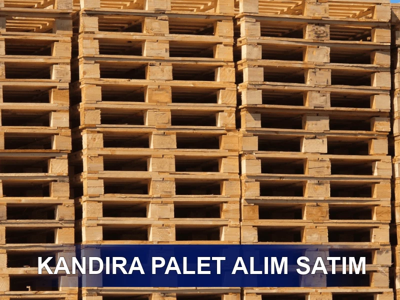 Kandıra Palet Galeri 3