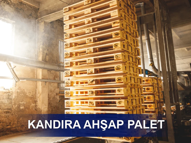 Kandıra Palet Galeri 4